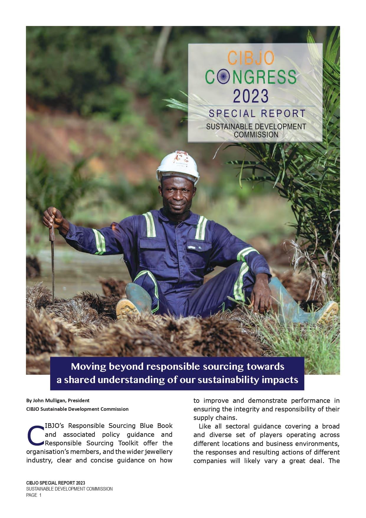 Sustainable Development Special Report